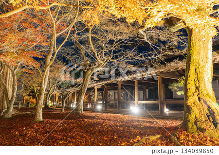 晩秋の東福寺 ライトアップされた通天橋 京都府京都市 晩秋の東福寺 ライトアップされた通天橋 京都府京都市 134039850