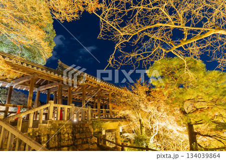晩秋の東福寺 ライトアップされた通天橋 京都府京都市 晩秋の東福寺 ライトアップされた通天橋 京都府京都市 134039864