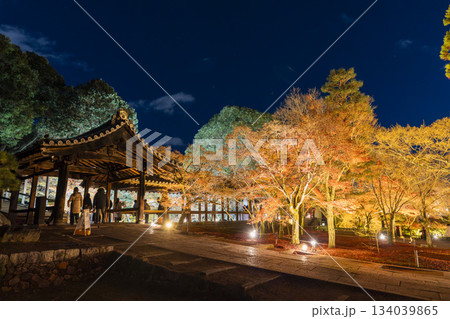 晩秋の東福寺 ライトアップされた通天橋 京都府京都市 晩秋の東福寺 ライトアップされた通天橋 京都府京都市 134039865
