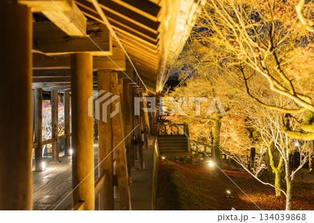 晩秋の東福寺　ライトアップされた通天橋　京都府京都市 134039868