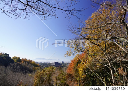 紅葉の若草山から望む東大寺大仏殿 134039880