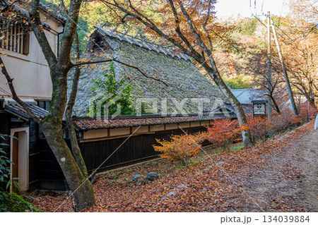 紅葉に包まれた蔵と茅葺建物 紅葉に包まれた蔵と茅葺建物 134039884