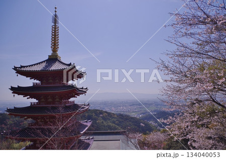 基山町 本福寺 桜満開の五重塔 基山町 本福寺 桜満開の五重塔 134040053