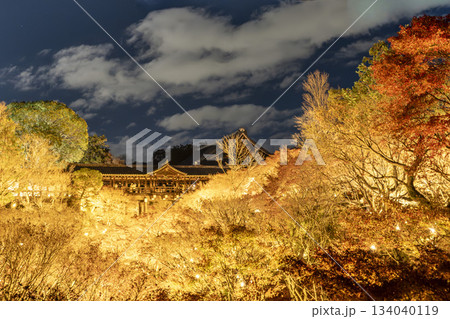晩秋の東福寺 臥雲橋から見たライトアップされた通天橋 京都府京都市 晩秋の東福寺 臥雲橋から見たライトアップされた通天橋 京都府京都市 134040119