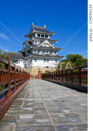 墨俣一夜城 太閤出世橋 大垣市 墨俣一夜城 太閤出世橋 大垣市 134040134