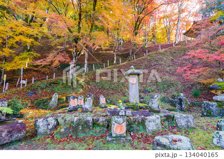 紅葉に染まった香嵐渓と地蔵(愛知県豊田市足助町) 紅葉に染まった香嵐渓と地蔵(愛知県豊田市足助町) 134040165