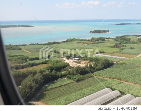 空から見た沖縄のサトウキビ畑の景色 134040184