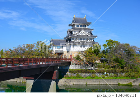 墨俣一夜城 太閤出世橋 大垣市 墨俣一夜城 太閤出世橋 大垣市 134040211