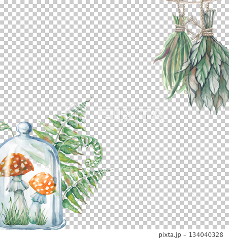 A square frame with red mushrooms under a transparent dome, green ferns and grass drying on a rope. Watercolor illustration for Halloween with leaves of a forest plant and fly agarics on an isolated A square frame with red mushrooms under a transparent dome, green ferns and grass drying on a rope. Watercolor illustration for Halloween with leaves of a forest plant and fly agarics on an isolated 134040328