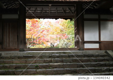 紅葉に包まれた哲学の道の京都法然院を歩く 紅葉に包まれた哲学の道の京都法然院を歩く 134040342
