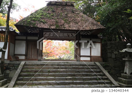 紅葉に包まれた哲学の道の京都法然院を歩く 紅葉に包まれた哲学の道の京都法然院を歩く 134040344