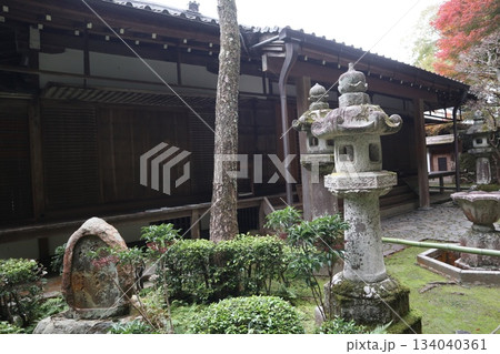 紅葉に包まれた哲学の道の京都法然院を歩く 134040361