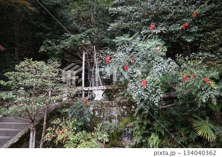 紅葉に包まれた哲学の道の京都法然院を歩く 134040362