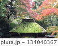 紅葉に包まれた哲学の道の京都法然院を歩く 134040367