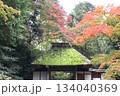 紅葉に包まれた哲学の道の京都法然院を歩く 134040369