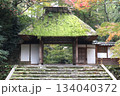 紅葉に包まれた哲学の道の京都法然院を歩く 134040372