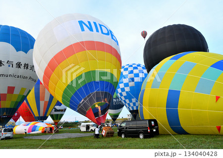 熱気球・バルーン 134040428