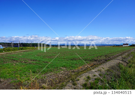 岩見沢市北村のどこかの風景 岩見沢市北村のどこかの風景 134040515