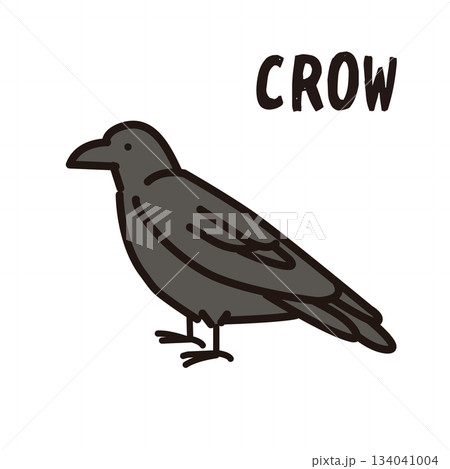 カラスのアイコンイラスト 134041004