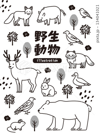 野生動物の線画イラストセット 野生動物の線画イラストセット 134041021