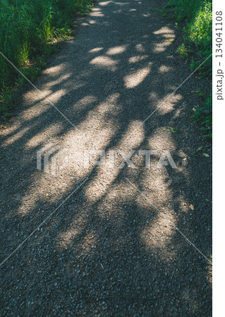 various 134041108