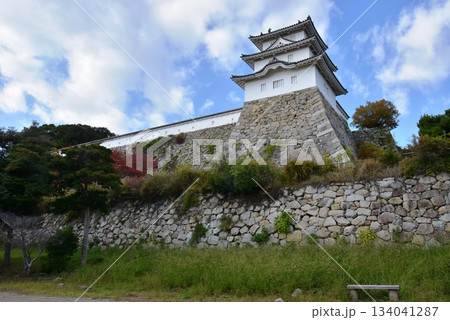 兵庫県 明石城(明石公園)の巽櫓(たつみやぐら)と石垣 兵庫県 明石城(明石公園)の巽櫓(たつみやぐら)と石垣 134041287