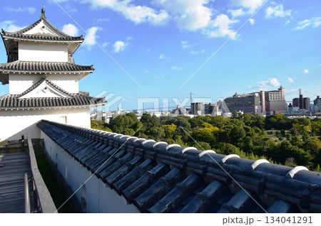 兵庫県　明石城（明石公園）の巽櫓（たつみやぐら）と眺望 134041291