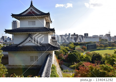 兵庫県 明石城(明石公園)の坤櫓(ひつじさるやぐら)と眺望 兵庫県 明石城(明石公園)の坤櫓(ひつじさるやぐら)と眺望 134041292