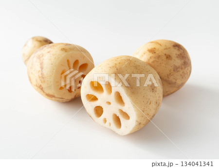 蓮根の断面　節つきレンコン 134041341