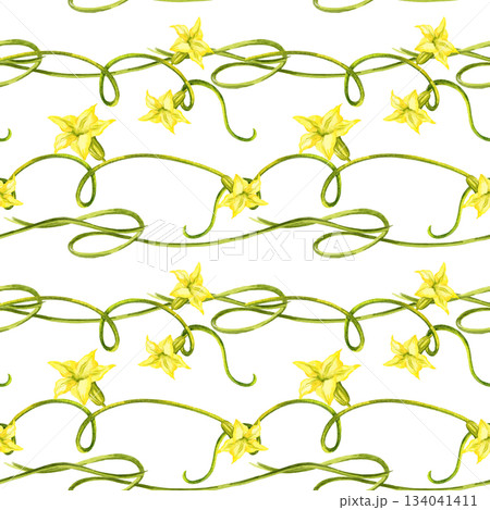 watercolor seamless pattern from part of plant pumpkins, different green twisted stems and yellow flowers, autumn harvest illustration, hand drawn sketch, for Halloween, thanksgiving day decoration watercolor seamless pattern from part of plant pumpkins, different green twisted stems and yellow flowers, autumn harvest illustration, hand drawn sketch, for Halloween, thanksgiving day decoration 134041411