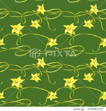 watercolor seamless pattern from part of plant pumpkins, different green twisted stems and yellow flowers, autumn harvest illustration, hand drawn sketch, for Halloween, thanksgiving day decoration watercolor seamless pattern from part of plant pumpkins, different green twisted stems and yellow flowers, autumn harvest illustration, hand drawn sketch, for Halloween, thanksgiving day decoration 134041412