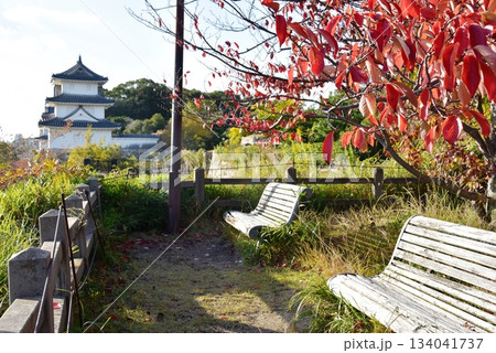 兵庫県　明石城（明石公園）の紅葉とベンチと巽櫓（たつみやぐら） 134041737