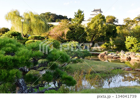 兵庫県　明石城（明石城公園）の庭園と巽櫓（たつみやぐら）と散策路 134041739