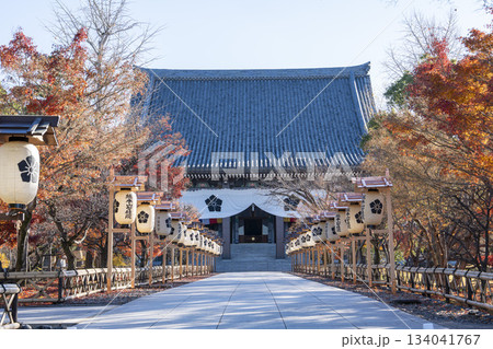 晩秋の総本山 智積院　金堂　京都府京都市 134041767