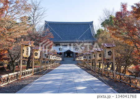 晩秋の総本山 智積院 金堂 京都府京都市 晩秋の総本山 智積院 金堂 京都府京都市 134041768