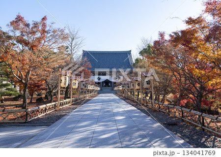 晩秋の総本山 智積院 金堂 京都府京都市 晩秋の総本山 智積院 金堂 京都府京都市 134041769