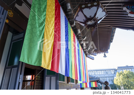 晩秋の総本山 智積院 金堂 京都府京都市 晩秋の総本山 智積院 金堂 京都府京都市 134041773