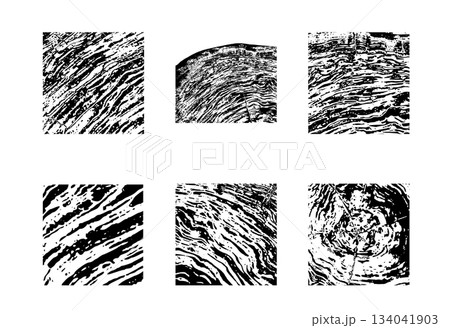 Wood cross section 134041903