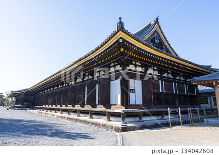 晩秋の蓮華王院 (三十三間堂) 本堂 京都府京都市 晩秋の蓮華王院 (三十三間堂) 本堂 京都府京都市 134042608
