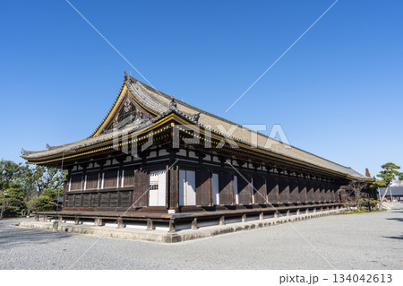 晩秋の蓮華王院 (三十三間堂) 本堂 京都府京都市 晩秋の蓮華王院 (三十三間堂) 本堂 京都府京都市 134042613
