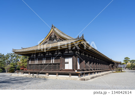 晩秋の蓮華王院 (三十三間堂)　本堂　京都府京都市 134042614