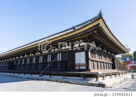 晩秋の蓮華王院 (三十三間堂)　本堂　京都府京都市 134042615