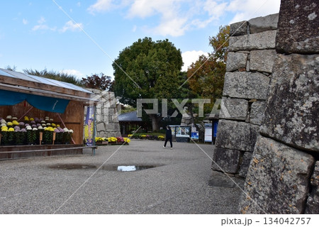 兵庫県 明石城(明石公園)の石垣と菊花展覧会と散策路 兵庫県 明石城(明石公園)の石垣と菊花展覧会と散策路 134042757
