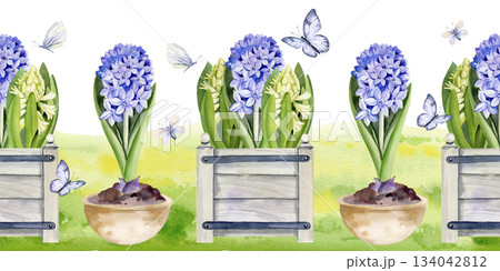 blue and white hyacinths in textured wooden tray and clay pot, flying butterflies, hand drawn watercolor spring seamless border, Easter illustration of primroses bouquet for party, kitchen decoration blue and white hyacinths in textured wooden tray and clay pot, flying butterflies, hand drawn watercolor spring seamless border, Easter illustration of primroses bouquet for party, kitchen decoration 134042812