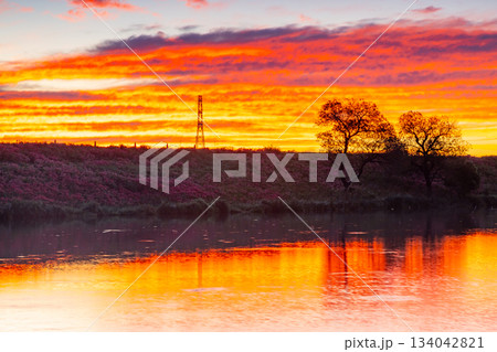 岐阜県海津市南濃町津屋　曼殊沙華（彼岸花）が土手一面に咲く津屋川堤防の朝焼け空と水面の反射 134042821