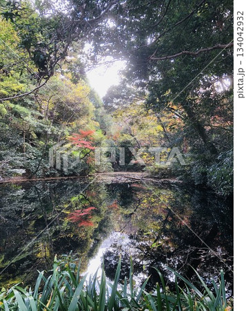 紅葉が美しく水面に反映する水鏡の風景　縦長 134042932