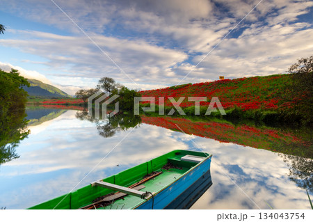 岐阜県海津市南濃町津屋　満開の曼殊沙華（彼岸花）が土手を真っ赤に染める津屋川堤防と水面の反射 134043754