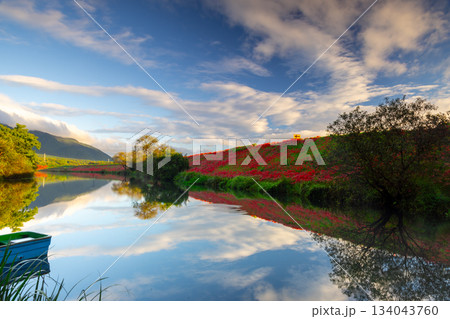 岐阜県海津市南濃町津屋　満開の曼殊沙華（彼岸花）が土手を真っ赤に染める津屋川堤防と水面の反射 134043760