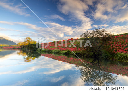 岐阜県海津市南濃町津屋　満開の曼殊沙華（彼岸花）が土手を真っ赤に染める津屋川堤防と水面の反射 134043761