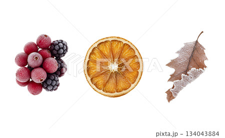 霜付きの冬の果実と葉（背景透過） 134043884